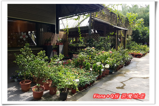 【苗栗一日遊】花露農場+鯉魚潭+草莓文化館+仙山仙草+泉明蠶生態農場+清安豆腐老街+汶水遊客中心，趴趴走的一天 !