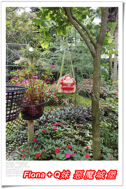 【苗栗一日遊】花露農場+鯉魚潭+草莓文化館+仙山仙草+泉明蠶生態農場+清安豆腐老街+汶水遊客中心，趴趴走的一天 !