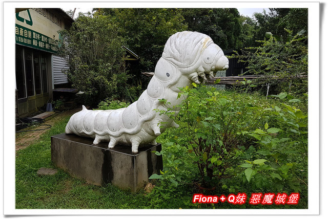 【苗栗一日遊】花露農場+鯉魚潭+草莓文化館+仙山仙草+泉明蠶生態農場+清安豆腐老街+汶水遊客中心，趴趴走的一天 !