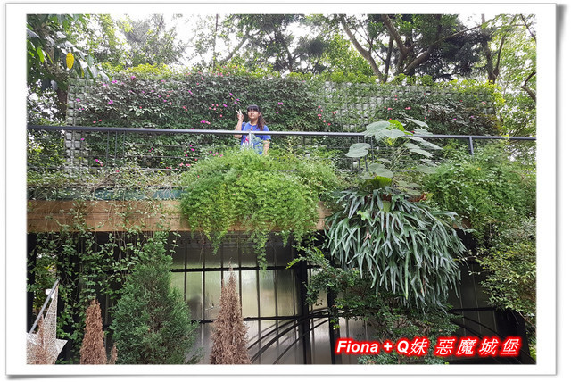 【苗栗一日遊】花露農場+鯉魚潭+草莓文化館+仙山仙草+泉明蠶生態農場+清安豆腐老街+汶水遊客中心，趴趴走的一天 !