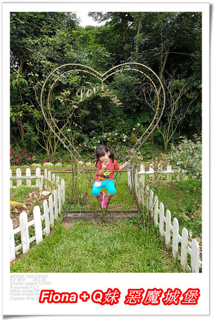 【苗栗一日遊】花露農場+鯉魚潭+草莓文化館+仙山仙草+泉明蠶生態農場+清安豆腐老街+汶水遊客中心，趴趴走的一天 !