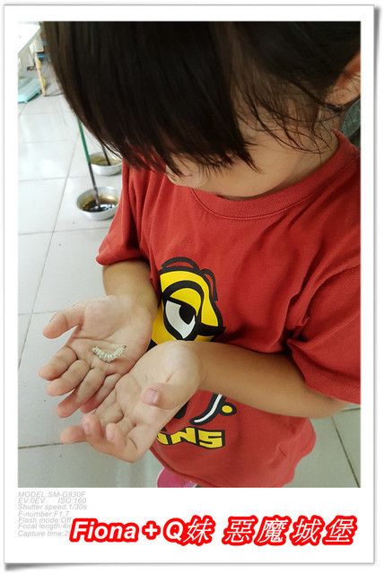 【苗栗一日遊】花露農場+鯉魚潭+草莓文化館+仙山仙草+泉明蠶生態農場+清安豆腐老街+汶水遊客中心，趴趴走的一天 !