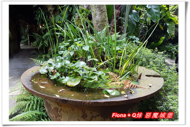 【苗栗一日遊】花露農場+鯉魚潭+草莓文化館+仙山仙草+泉明蠶生態農場+清安豆腐老街+汶水遊客中心，趴趴走的一天 !