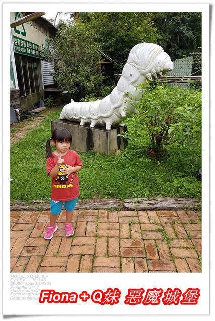 【苗栗一日遊】花露農場+鯉魚潭+草莓文化館+仙山仙草+泉明蠶生態農場+清安豆腐老街+汶水遊客中心，趴趴走的一天 !