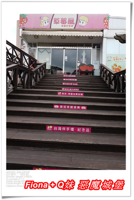 【苗栗一日遊】花露農場+鯉魚潭+草莓文化館+仙山仙草+泉明蠶生態農場+清安豆腐老街+汶水遊客中心，趴趴走的一天 !