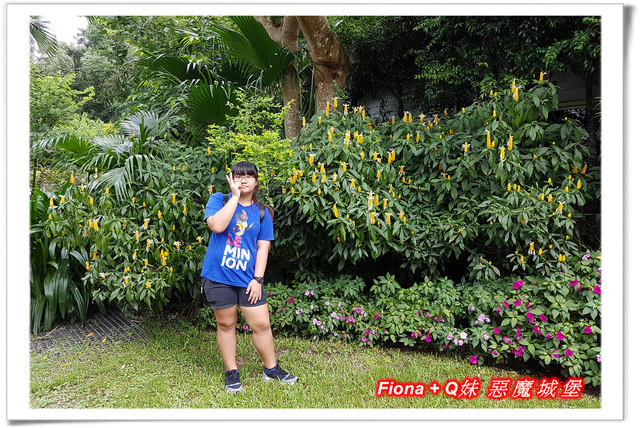 【苗栗一日遊】花露農場+鯉魚潭+草莓文化館+仙山仙草+泉明蠶生態農場+清安豆腐老街+汶水遊客中心，趴趴走的一天 !