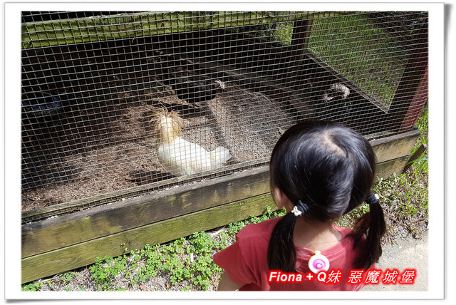 【苗栗一日遊】花露農場+鯉魚潭+草莓文化館+仙山仙草+泉明蠶生態農場+清安豆腐老街+汶水遊客中心，趴趴走的一天 !
