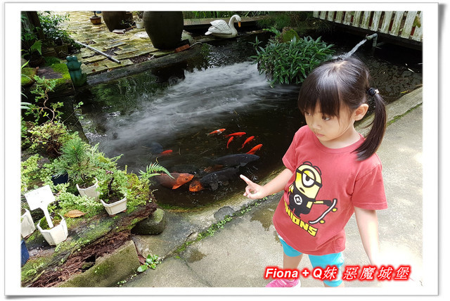 【苗栗一日遊】花露農場+鯉魚潭+草莓文化館+仙山仙草+泉明蠶生態農場+清安豆腐老街+汶水遊客中心，趴趴走的一天 !