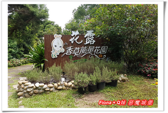 【苗栗一日遊】花露農場+鯉魚潭+草莓文化館+仙山仙草+泉明蠶生態農場+清安豆腐老街+汶水遊客中心，趴趴走的一天 !