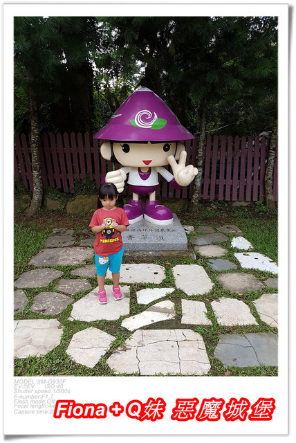 【苗栗一日遊】花露農場+鯉魚潭+草莓文化館+仙山仙草+泉明蠶生態農場+清安豆腐老街+汶水遊客中心，趴趴走的一天 !