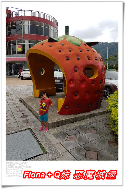 【苗栗一日遊】花露農場+鯉魚潭+草莓文化館+仙山仙草+泉明蠶生態農場+清安豆腐老街+汶水遊客中心，趴趴走的一天 !