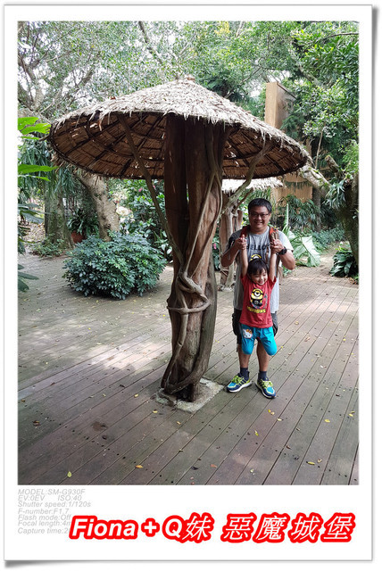 【苗栗一日遊】花露農場+鯉魚潭+草莓文化館+仙山仙草+泉明蠶生態農場+清安豆腐老街+汶水遊客中心，趴趴走的一天 !