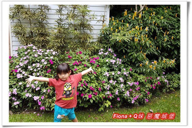 【苗栗一日遊】花露農場+鯉魚潭+草莓文化館+仙山仙草+泉明蠶生態農場+清安豆腐老街+汶水遊客中心，趴趴走的一天 !