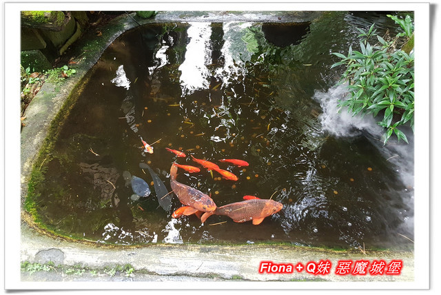 【苗栗一日遊】花露農場+鯉魚潭+草莓文化館+仙山仙草+泉明蠶生態農場+清安豆腐老街+汶水遊客中心，趴趴走的一天 !