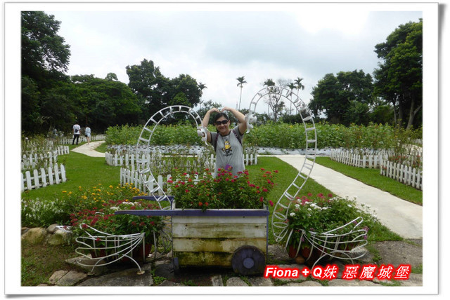 【苗栗一日遊】花露農場+鯉魚潭+草莓文化館+仙山仙草+泉明蠶生態農場+清安豆腐老街+汶水遊客中心，趴趴走的一天 !