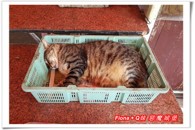 【苗栗一日遊】花露農場+鯉魚潭+草莓文化館+仙山仙草+泉明蠶生態農場+清安豆腐老街+汶水遊客中心，趴趴走的一天 !