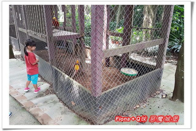 【苗栗一日遊】花露農場+鯉魚潭+草莓文化館+仙山仙草+泉明蠶生態農場+清安豆腐老街+汶水遊客中心，趴趴走的一天 !