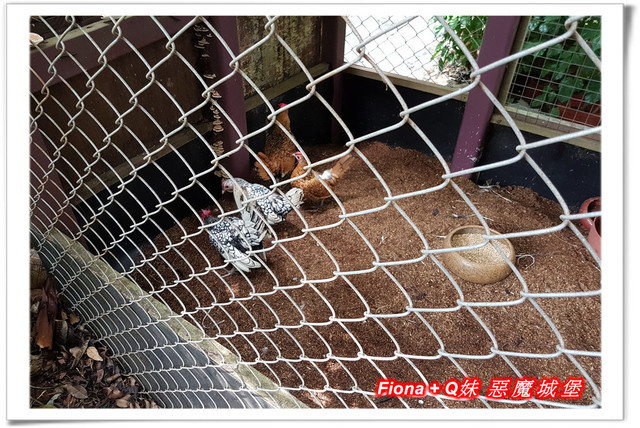 【苗栗一日遊】花露農場+鯉魚潭+草莓文化館+仙山仙草+泉明蠶生態農場+清安豆腐老街+汶水遊客中心，趴趴走的一天 !