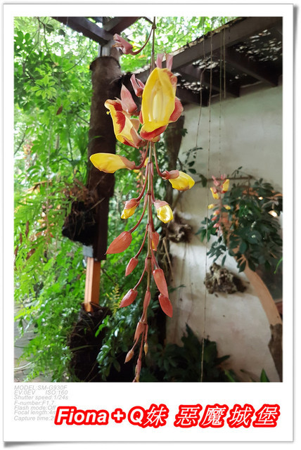 【苗栗一日遊】花露農場+鯉魚潭+草莓文化館+仙山仙草+泉明蠶生態農場+清安豆腐老街+汶水遊客中心，趴趴走的一天 !