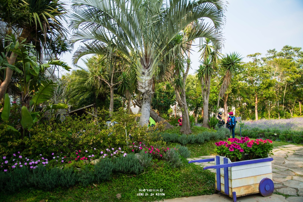 DSC_8809.jpg DSC_8809.jpg