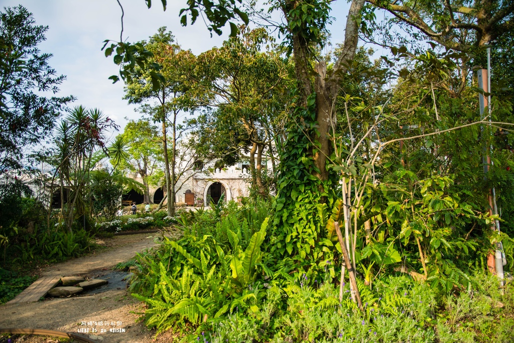 DSC_8799.jpg DSC_8799.jpg