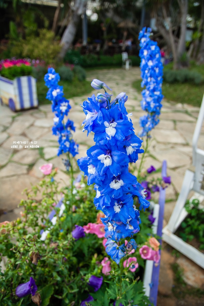 DSC_8805.jpg DSC_8805.jpg