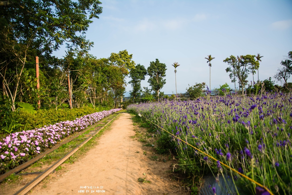 DSC_8798.jpg DSC_8798.jpg