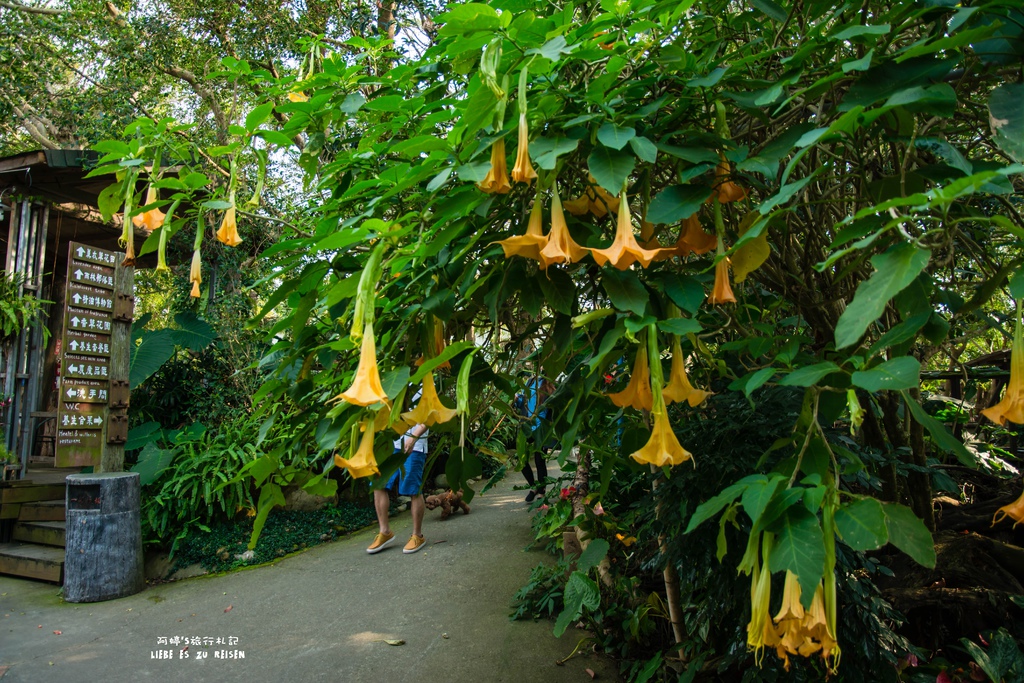 DSC_8767.jpg DSC_8767.jpg