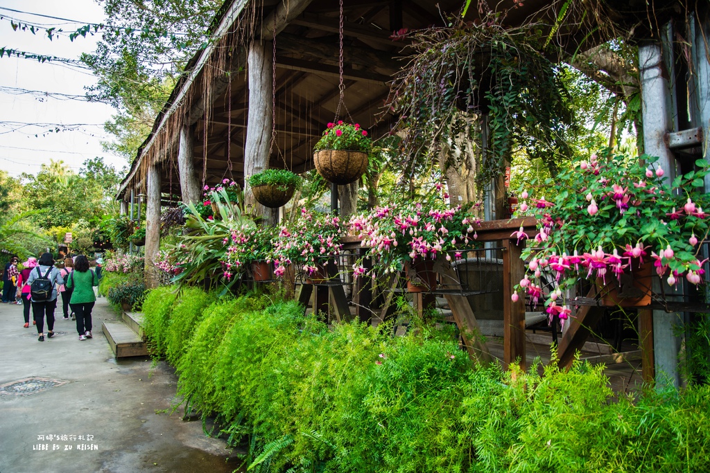 DSC_8768.jpg DSC_8768.jpg