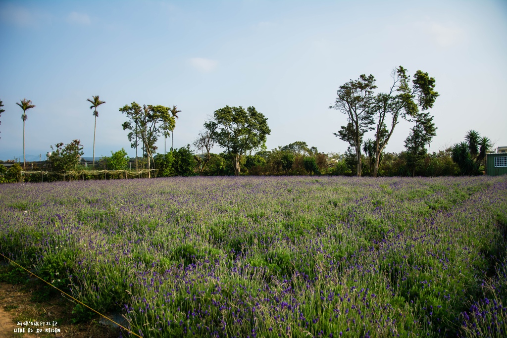 DSC_8796.jpg DSC_8796.jpg