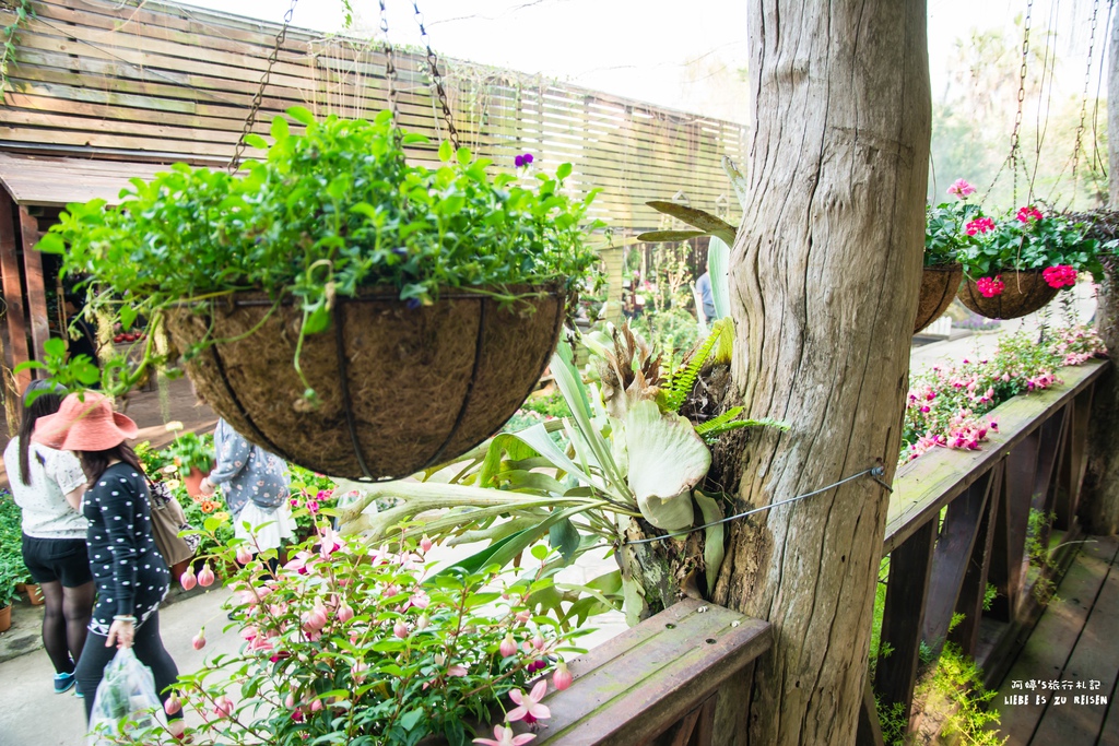 DSC_8775.jpg DSC_8775.jpg