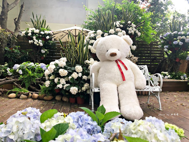 【苗栗 卓蘭】花露農場 Flower Home🌺🌺🌺4-6月有超美繡球花，浪漫滿園，讓你照片拍不完，還有精油主題館和住宿，更有景觀餐廳，來到這可以玩上大半天😉-上篇