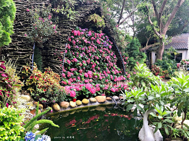 【苗栗 卓蘭】花露農場 Flower Home🌺🌺🌺4-6月有超美繡球花，浪漫滿園，讓你照片拍不完，還有精油主題館和住宿，更有景觀餐廳，來到這可以玩上大半天😉-上篇