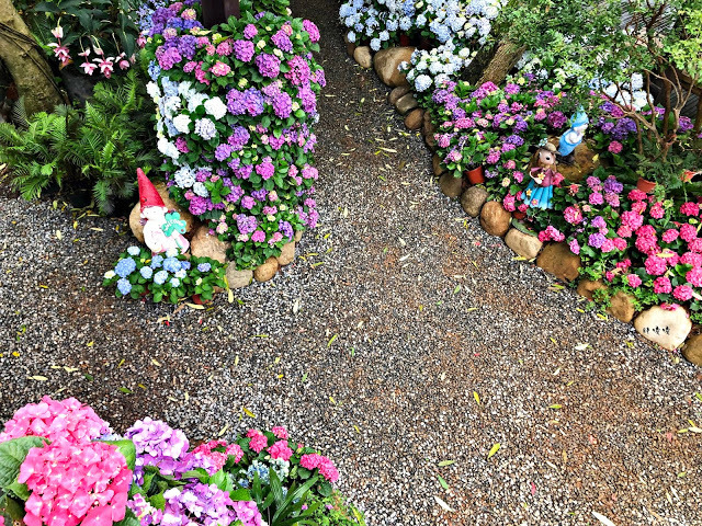 【苗栗 卓蘭】花露農場 Flower Home🌺🌺🌺4-6月有超美繡球花，浪漫滿園，讓你照片拍不完，還有精油主題館和住宿，更有景觀餐廳，來到這可以玩上大半天😉-上篇