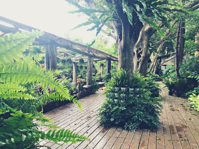 【苗栗 卓蘭】花露農場 Flower Home🌺🌺🌺4-6月有超美繡球花，浪漫滿園，讓你照片拍不完，還有精油主題館和住宿，更有景觀餐廳，來到這可以玩上大半天😉-上篇