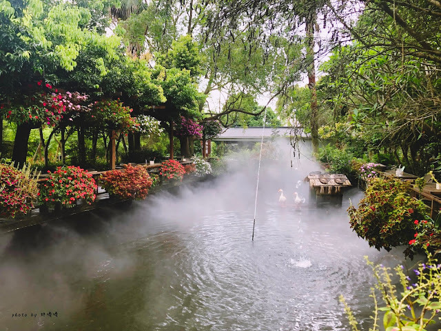 【苗栗 卓蘭】花露農場 Flower Home🌺🌺🌺4-6月有超美繡球花，浪漫滿園，讓你照片拍不完，還有精油主題館和住宿，更有景觀餐廳，來到這可以玩上大半天😉-下篇