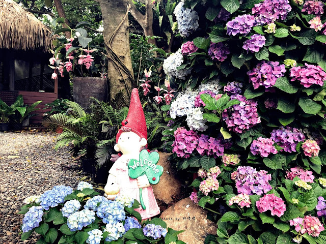 【苗栗 卓蘭】花露農場 Flower Home🌺🌺🌺4-6月有超美繡球花，浪漫滿園，讓你照片拍不完，還有精油主題館和住宿，更有景觀餐廳，來到這可以玩上大半天😉-上篇