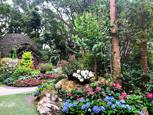 【苗栗 卓蘭】花露農場 Flower Home🌺🌺🌺4-6月有超美繡球花，浪漫滿園，讓你照片拍不完，還有精油主題館和住宿，更有景觀餐廳，來到這可以玩上大半天😉-上篇