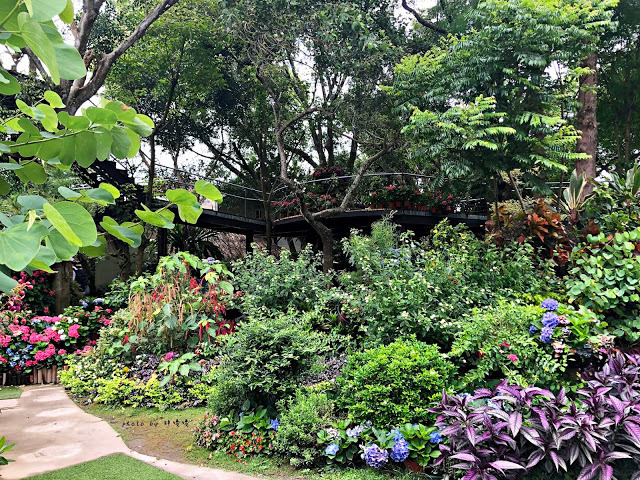 【苗栗 卓蘭】花露農場 Flower Home🌺🌺🌺4-6月有超美繡球花，浪漫滿園，讓你照片拍不完，還有精油主題館和住宿，更有景觀餐廳，來到這可以玩上大半天😉-上篇