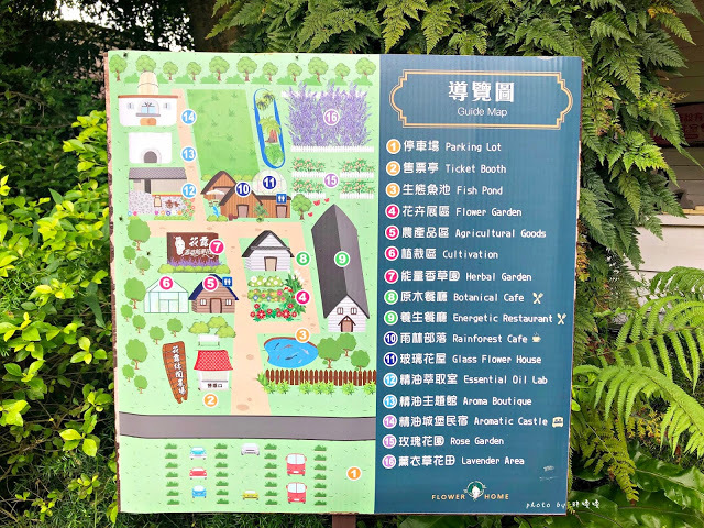 【苗栗 卓蘭】花露農場 Flower Home🌺🌺🌺4-6月有超美繡球花，浪漫滿園，讓你照片拍不完，還有精油主題館和住宿，更有景觀餐廳，來到這可以玩上大半天😉-上篇