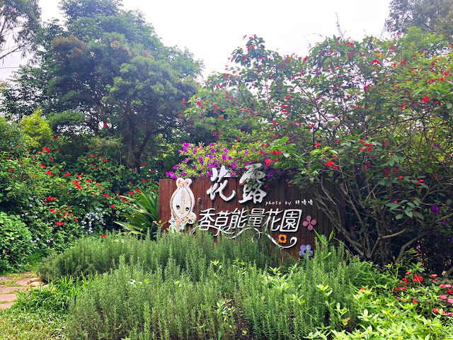 【苗栗 卓蘭】花露農場 Flower Home🌺🌺🌺4-6月有超美繡球花，浪漫滿園，讓你照片拍不完，還有精油主題館和住宿，更有景觀餐廳，來到這可以玩上大半天😉-下篇