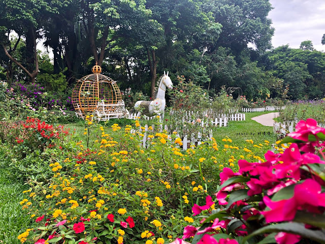 【苗栗 卓蘭】花露農場 Flower Home🌺🌺🌺4-6月有超美繡球花，浪漫滿園，讓你照片拍不完，還有精油主題館和住宿，更有景觀餐廳，來到這可以玩上大半天😉-下篇