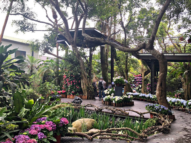 【苗栗 卓蘭】花露農場 Flower Home🌺🌺🌺4-6月有超美繡球花，浪漫滿園，讓你照片拍不完，還有精油主題館和住宿，更有景觀餐廳，來到這可以玩上大半天😉-上篇