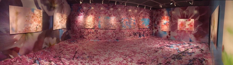 image4.JPG - Food image4.JPG - Food