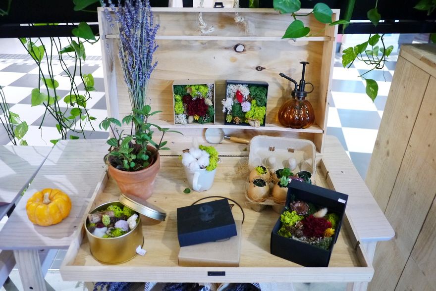 P2010807.jpg P2010807.jpg