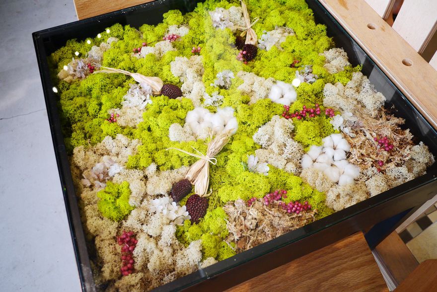 P2010994.jpg P2010994.jpg