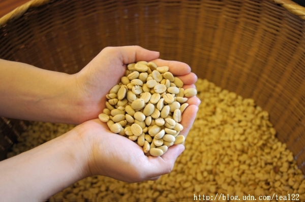 藏身於鹿谷山中的一杯好咖啡--好韻休閒農場【鹿谷DOC】