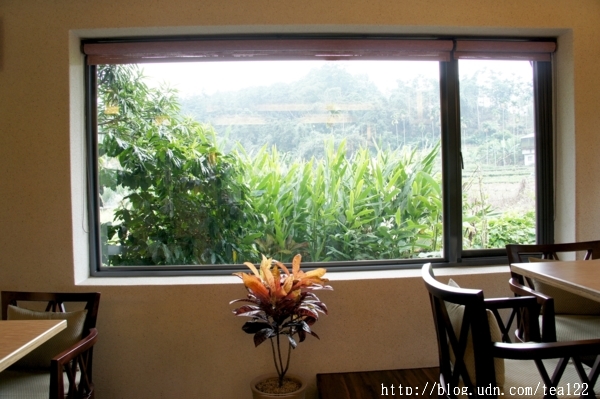 藏身於鹿谷山中的一杯好咖啡--好韻休閒農場【鹿谷DOC】