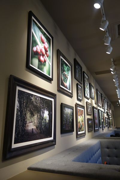 照片 522 照片 522