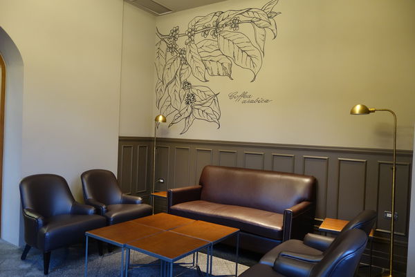 照片 538 照片 538